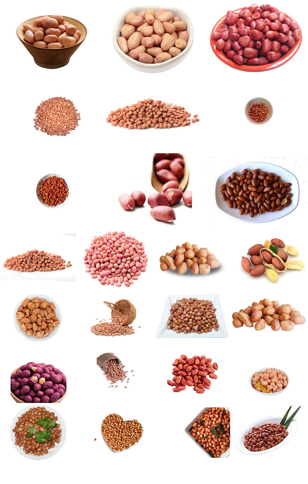 新鲜花生米免抠png透明素材打包