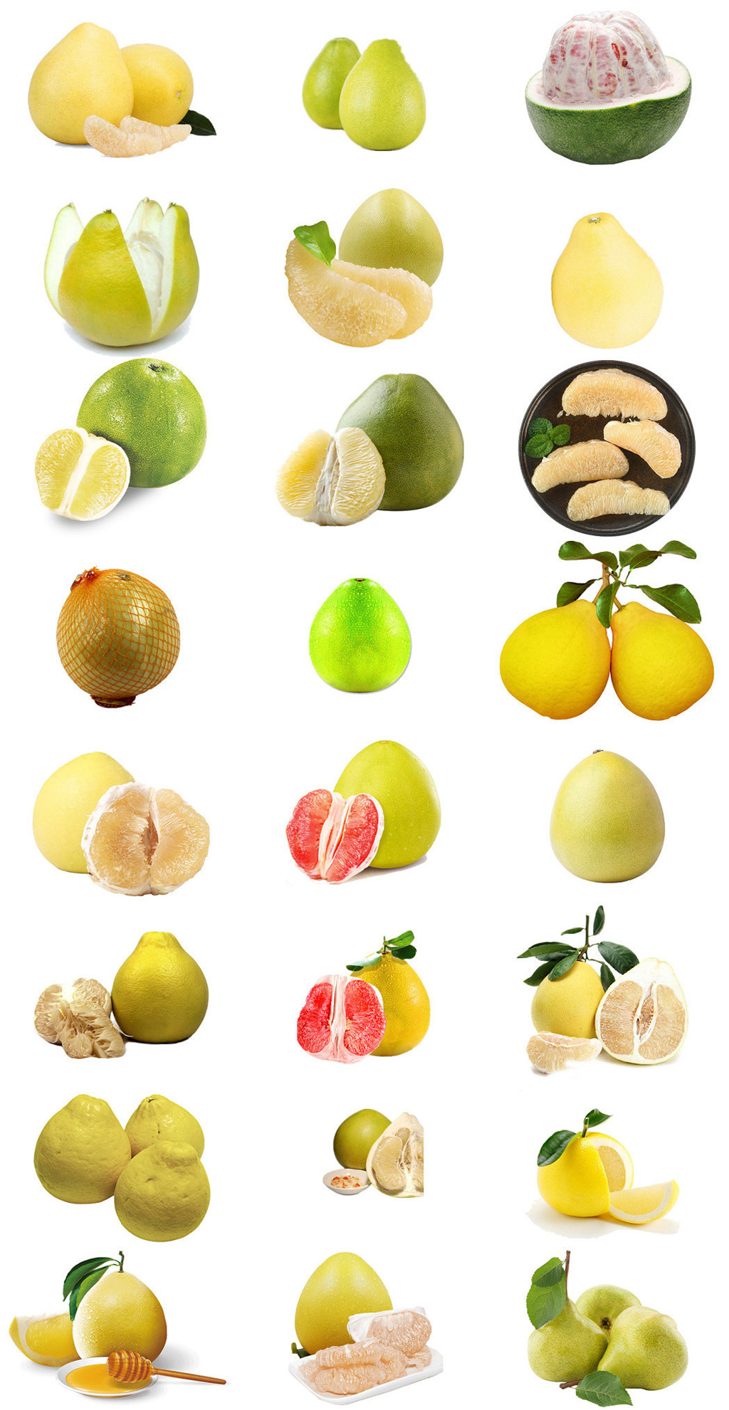 甜甜柚子免抠png透明素材打包素材