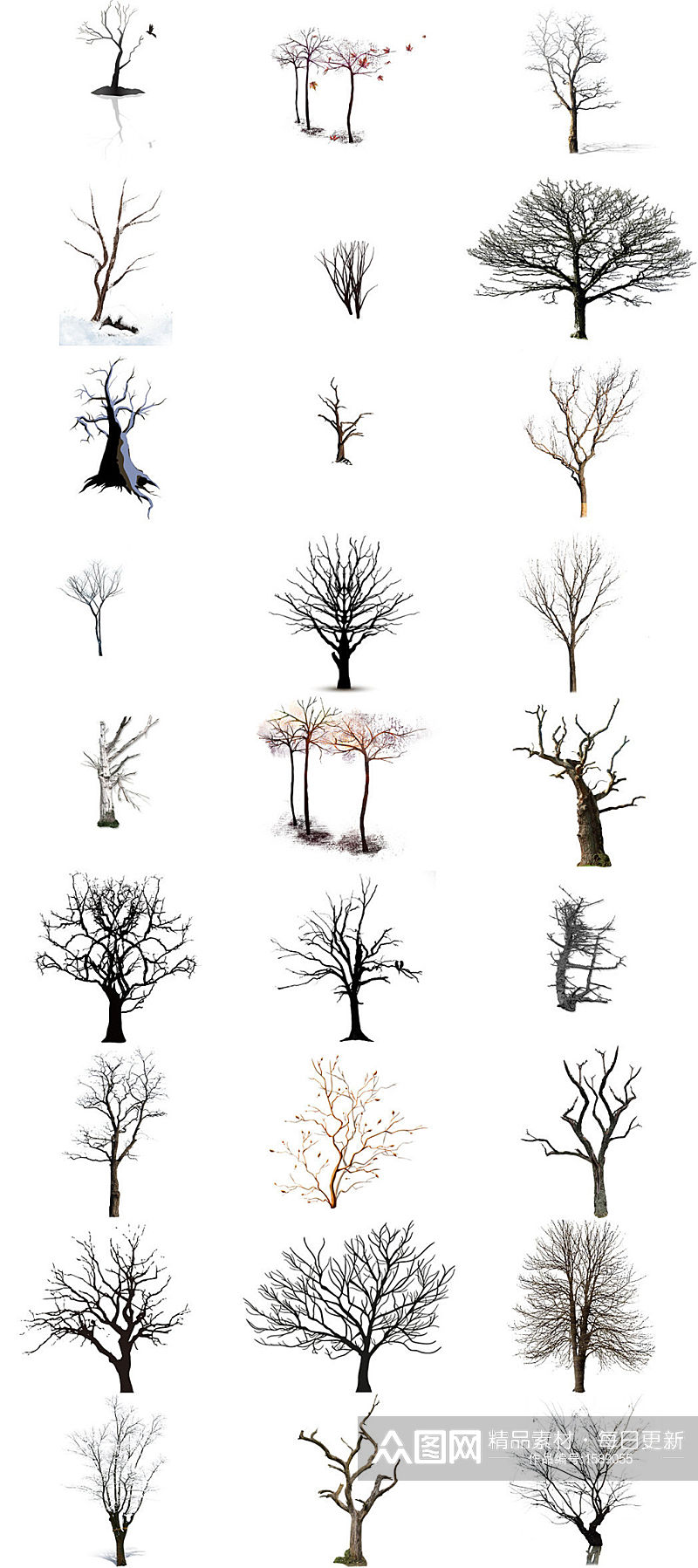 树干枯树落叶ps设计元素免抠图库素材