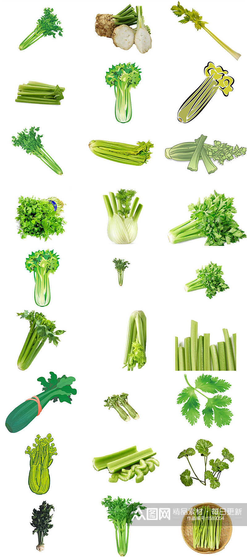 蔬菜芹菜ps设计元素免抠库素材