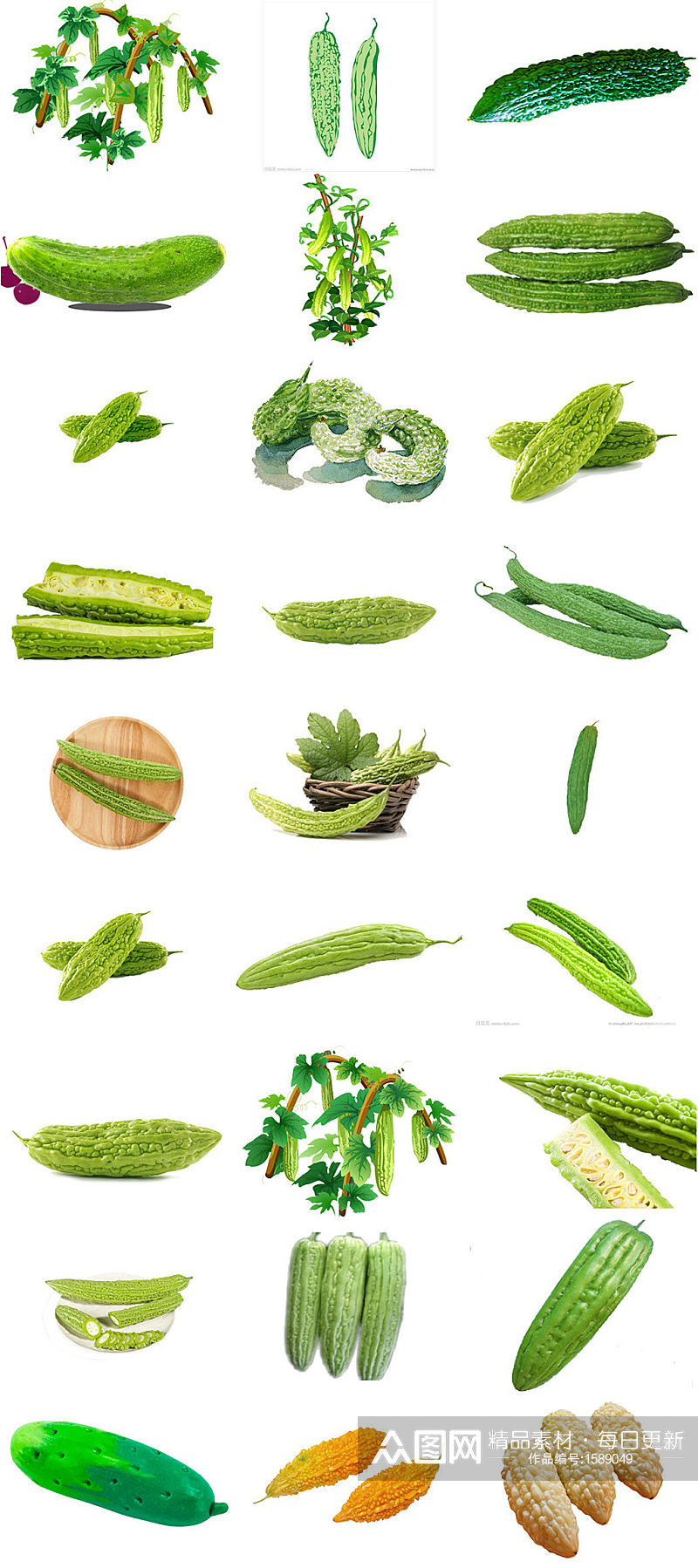 蔬菜苦瓜免抠png透明素材素材
