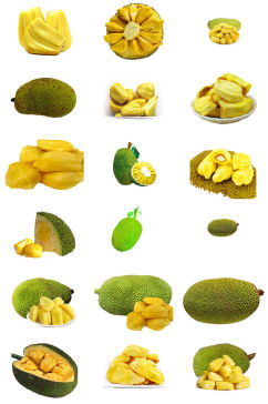 木菠萝水果菠萝蜜ps元素素材