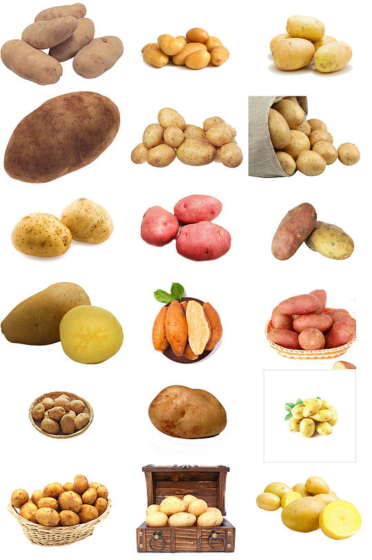 马铃薯土豆ps设计素材打包