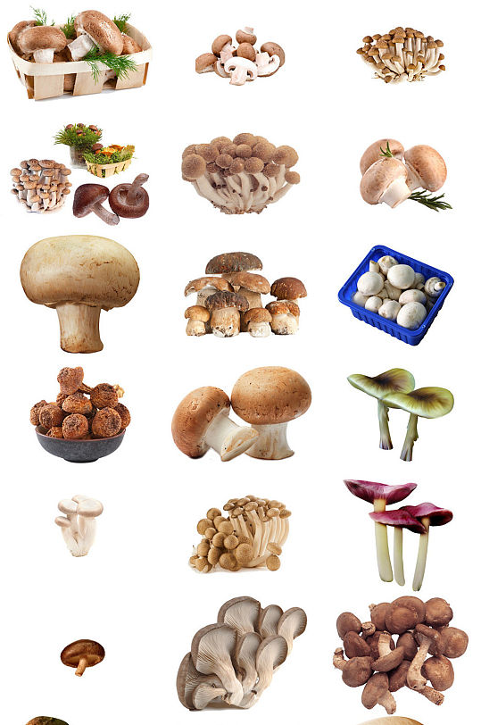 美食蘑菇香菇海报设计素材汇集