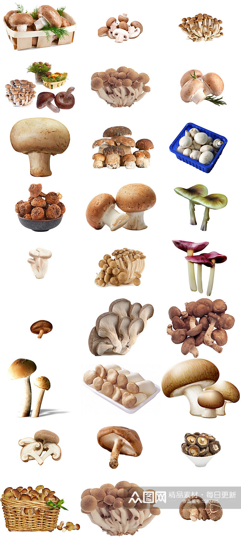美食蘑菇香菇海报设计素材汇集素材