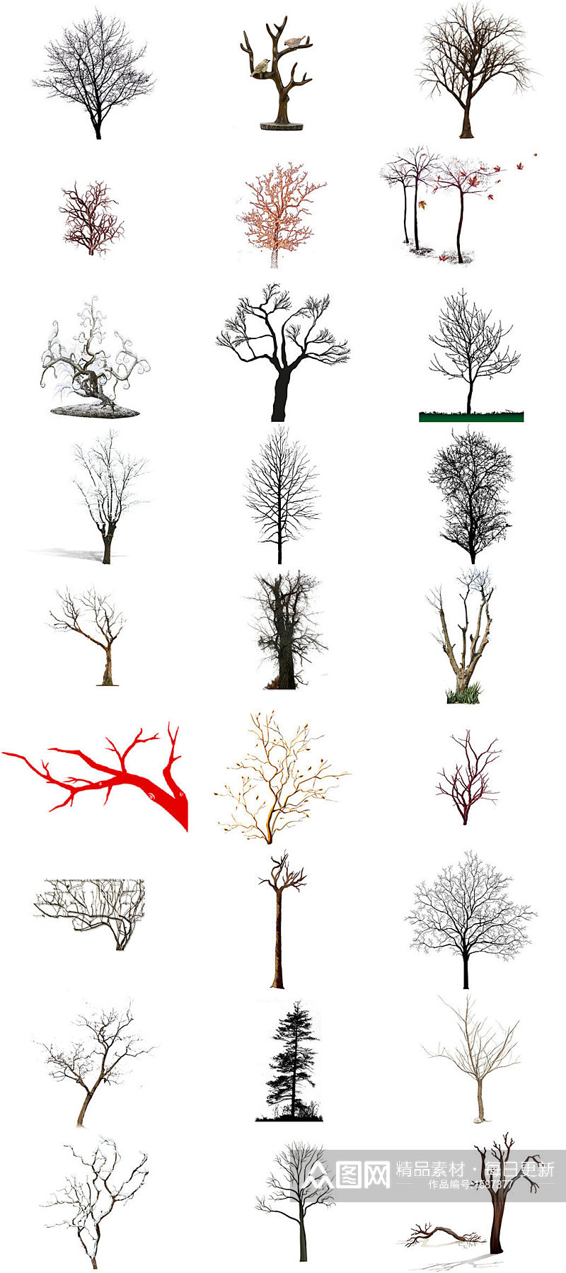 多款树干枯树落叶免抠png素材素材