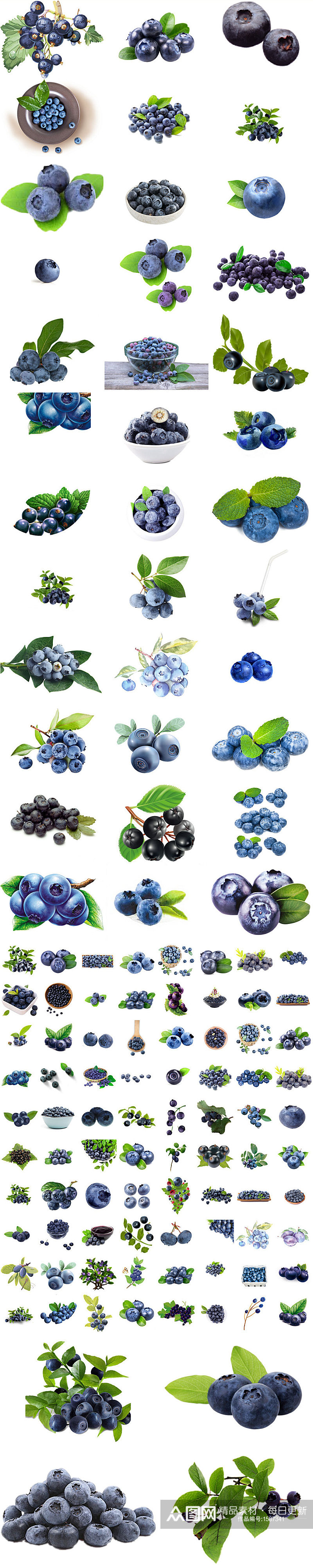 20款新鲜蓝莓ps装饰素材免抠图素材