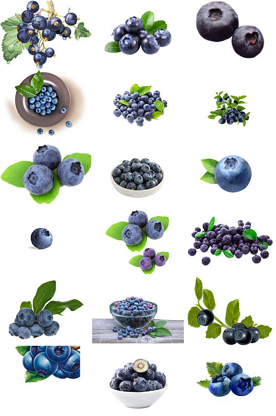 20款新鲜蓝莓ps装饰素材免抠图