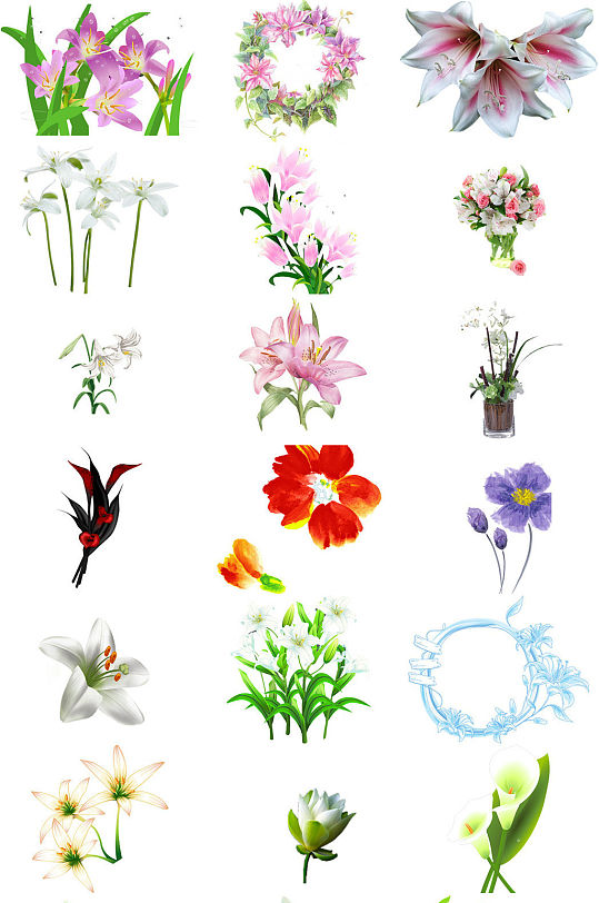百合花朵花卉百合花海报设计素材