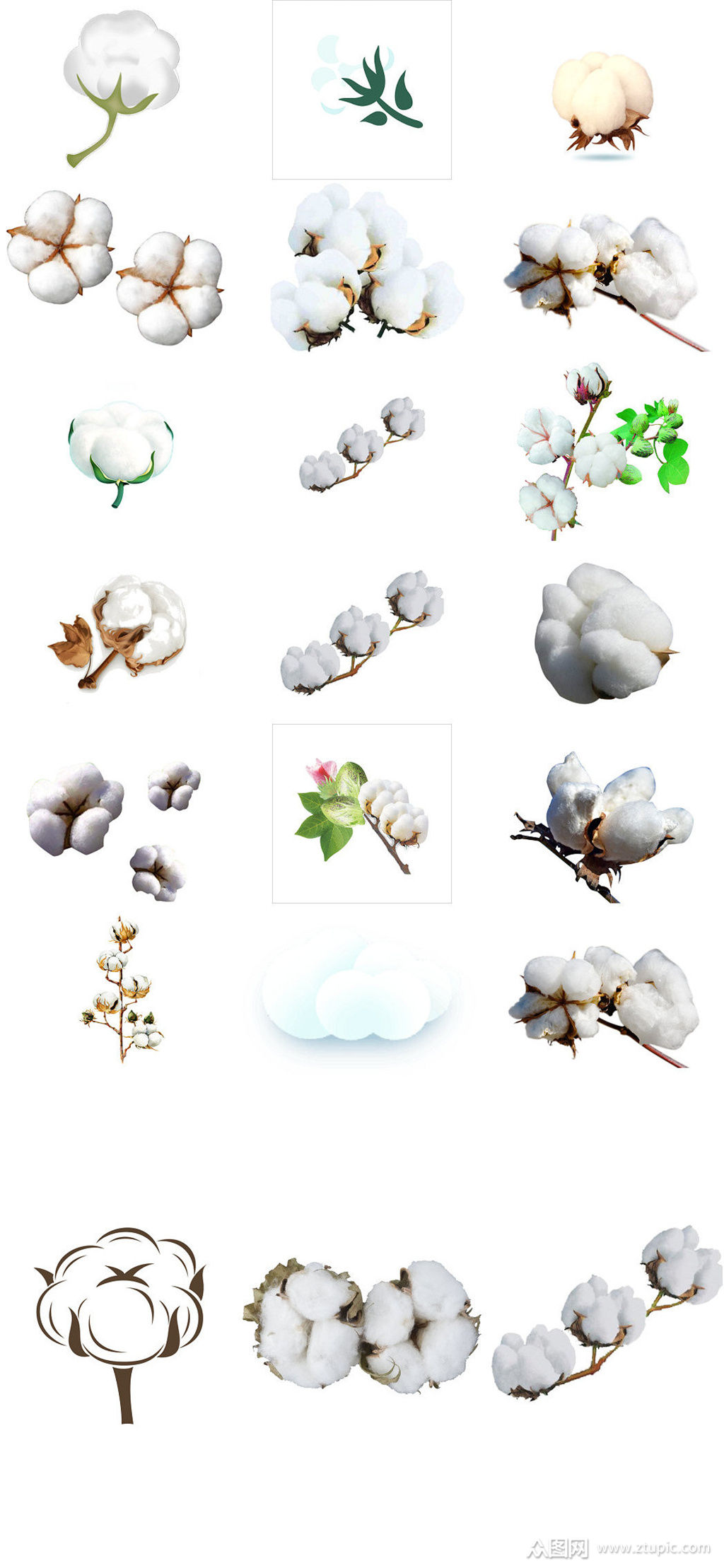 白色棉花造型设计图片素材