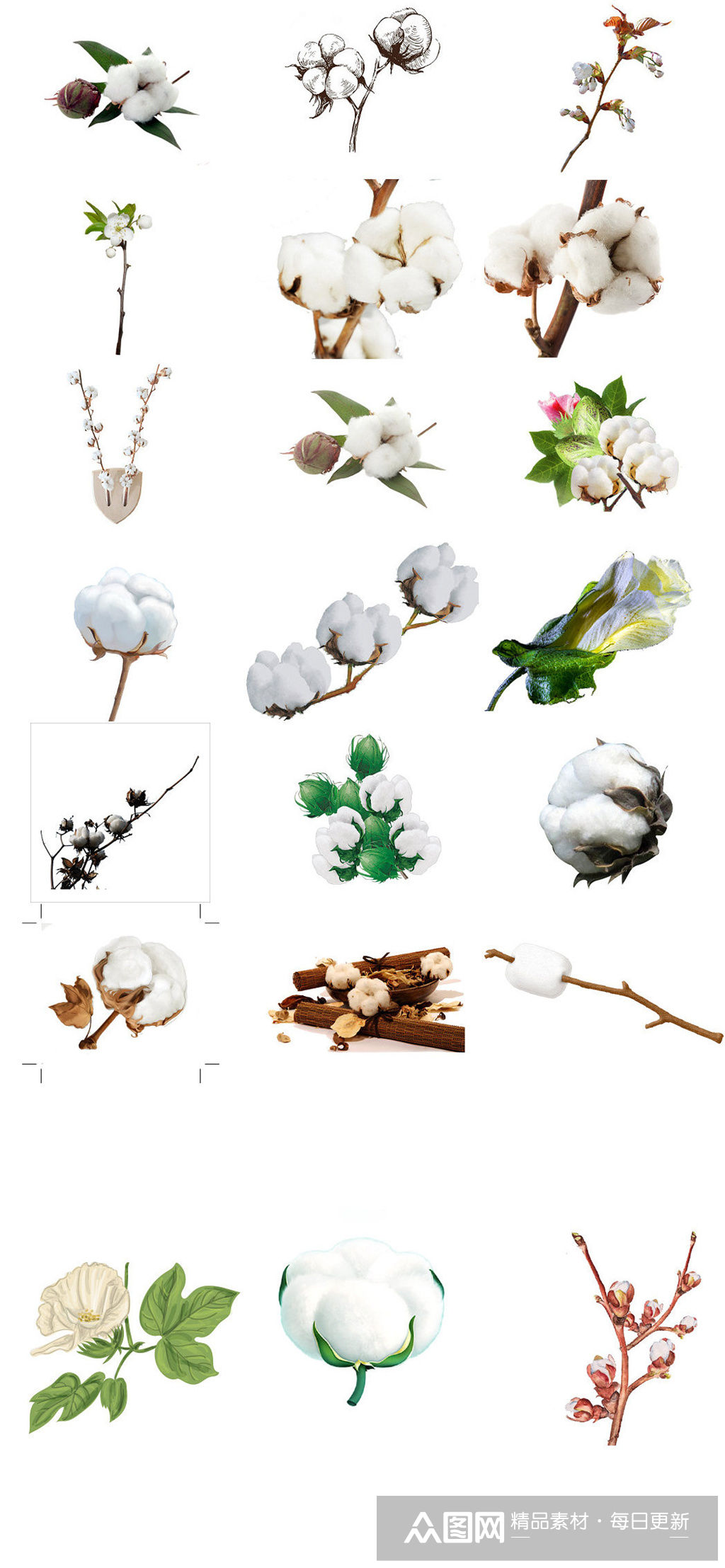 白色棉花免抠png透明底素材