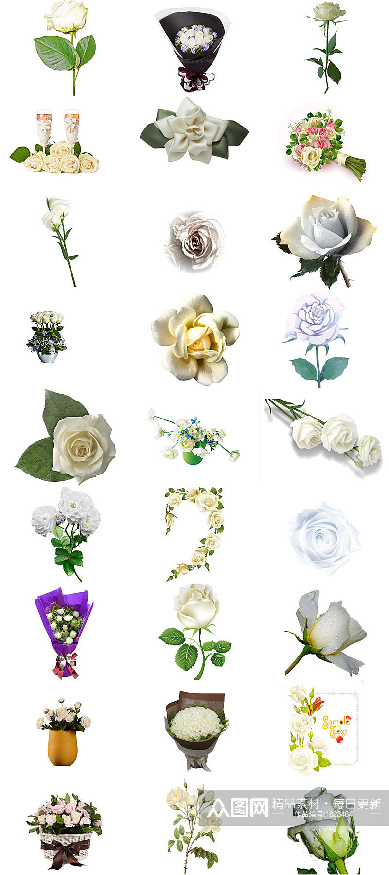 白玫瑰免抠png图片素材