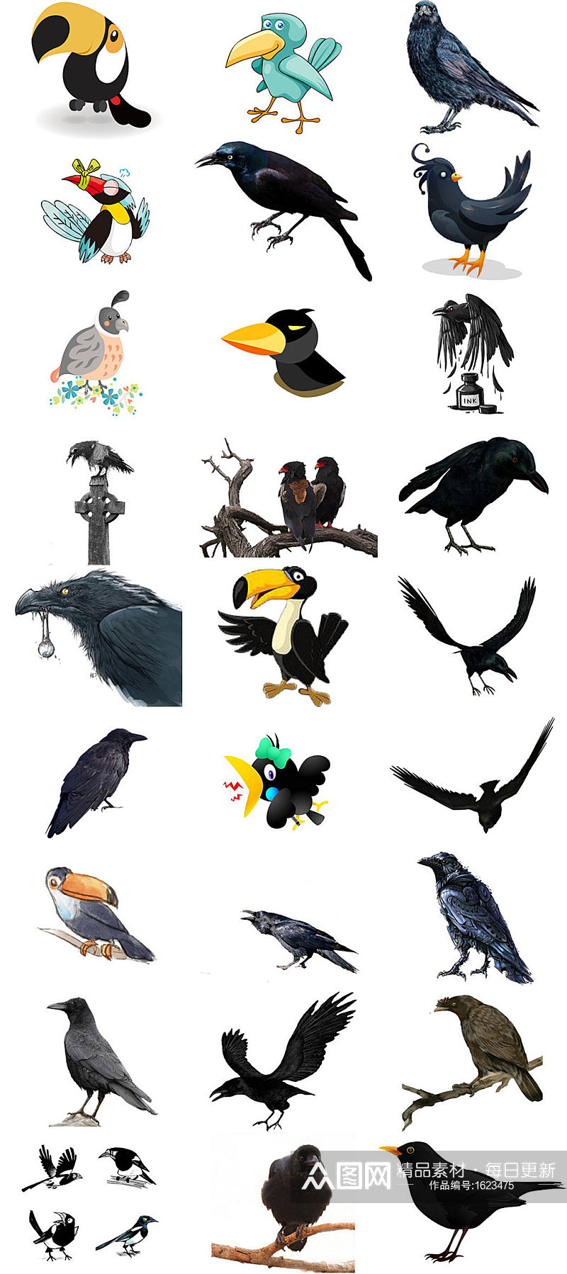 PNG免抠动物界飞行鸟类乌鸦素材素材