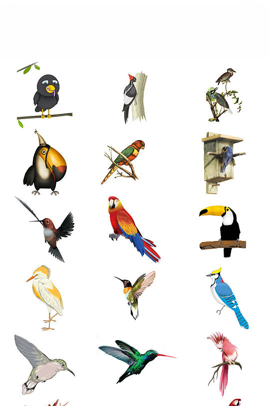 啄木鸟免抠png图片素材