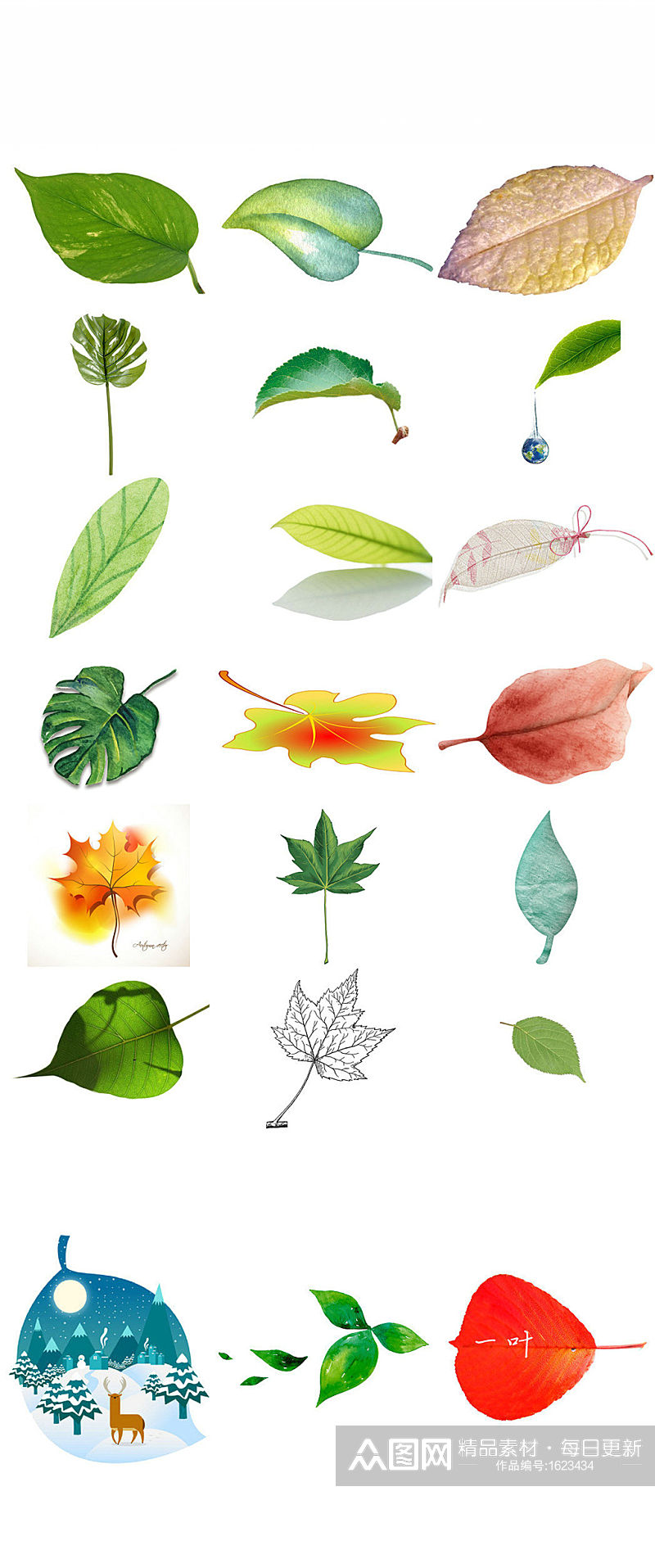 植物一片叶子海报ps设计素材素材