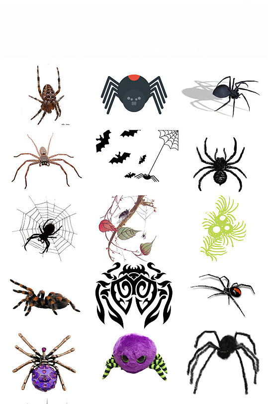 蜘蛛ps装饰图片设计素材