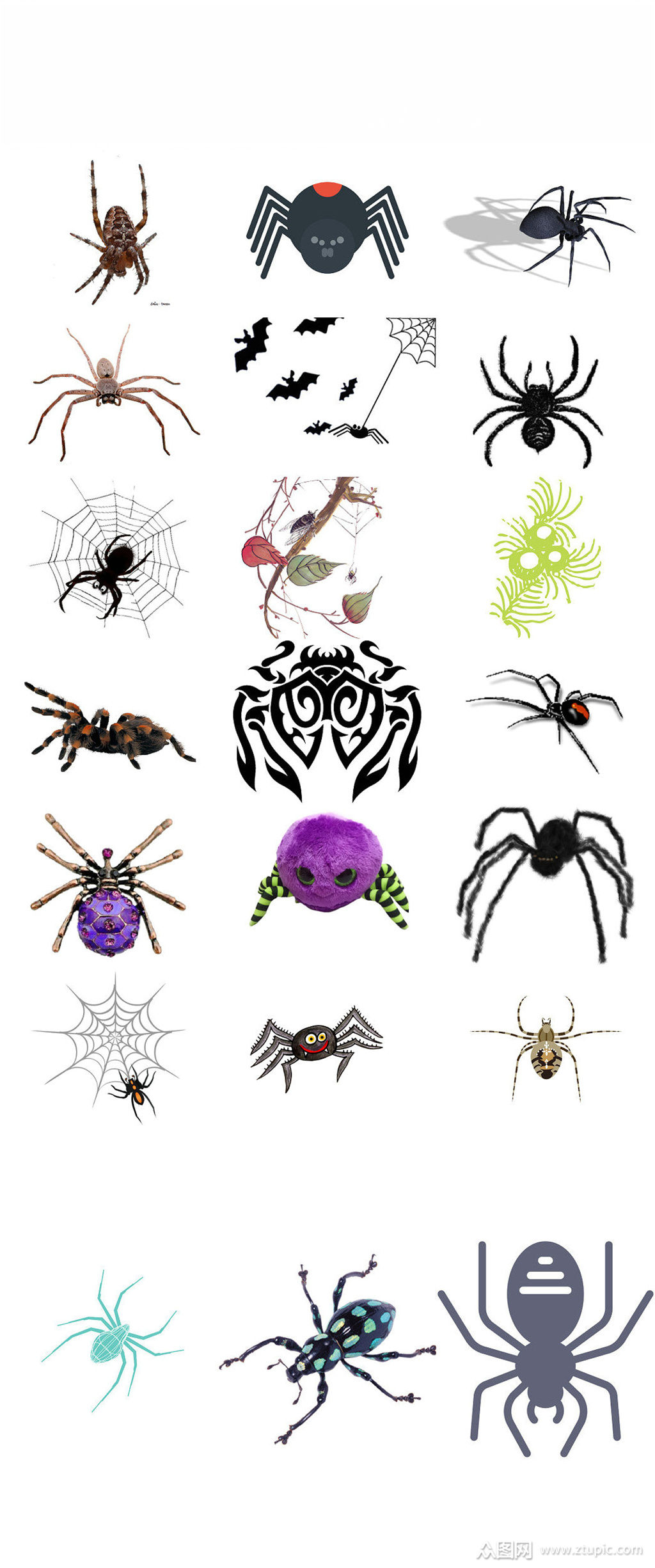 蜘蛛ps装饰图片设计素材