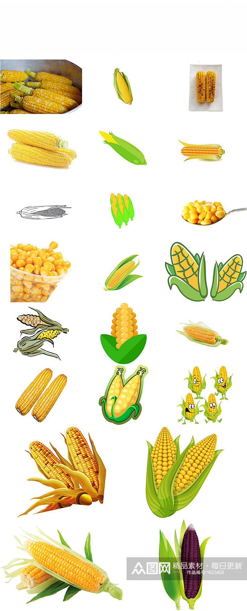 玉米农作物庄稼玉米设计素材素材