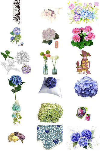 绣球花花朵海报设计元素系列