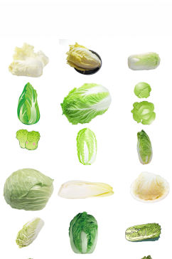 新鲜蔬菜大白菜免抠png素材