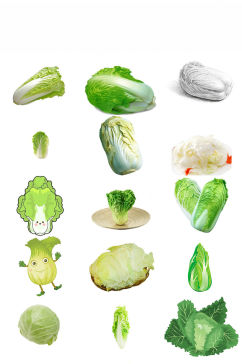 新鲜蔬菜大白菜海报设计素材