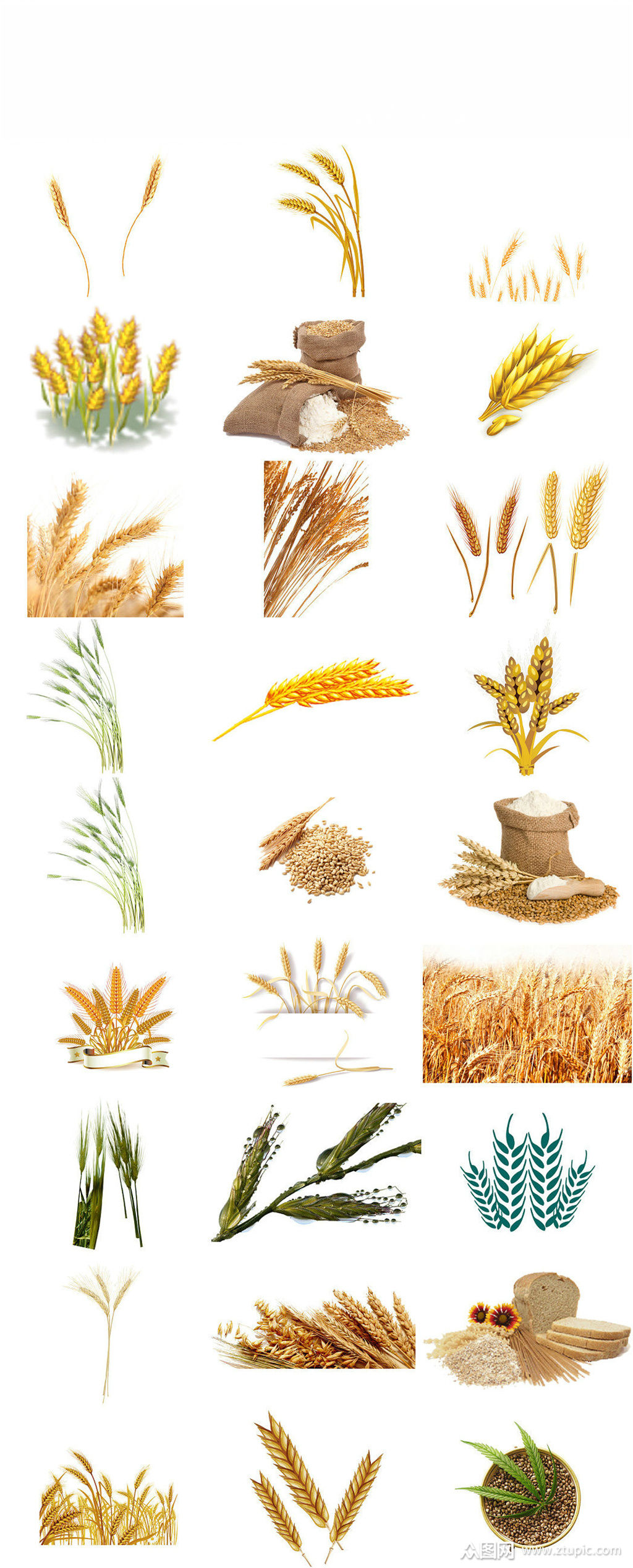 小麦麦穗麦田png免抠海报设计素材