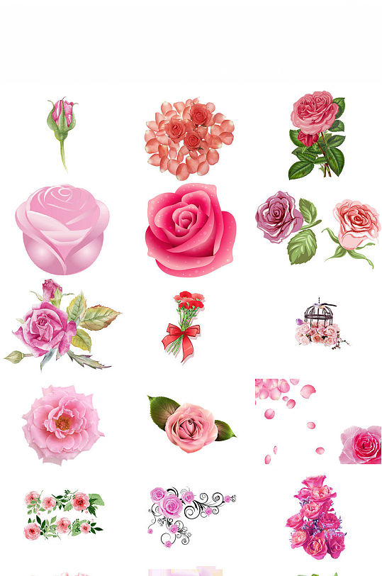 西方情人节粉色玫瑰免抠透明设计元素