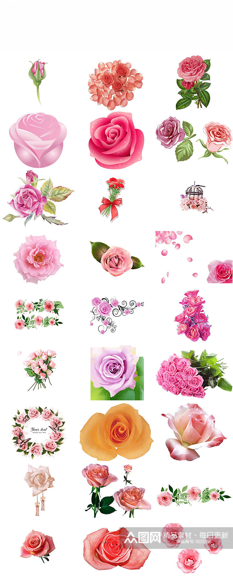 西方情人节粉色玫瑰免抠透明设计元素素材