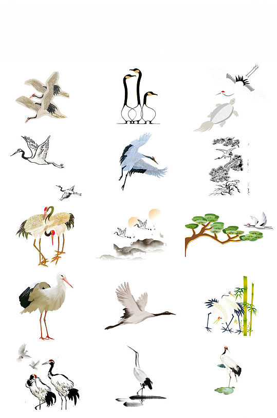 松鹤插画中国风鸟类素材