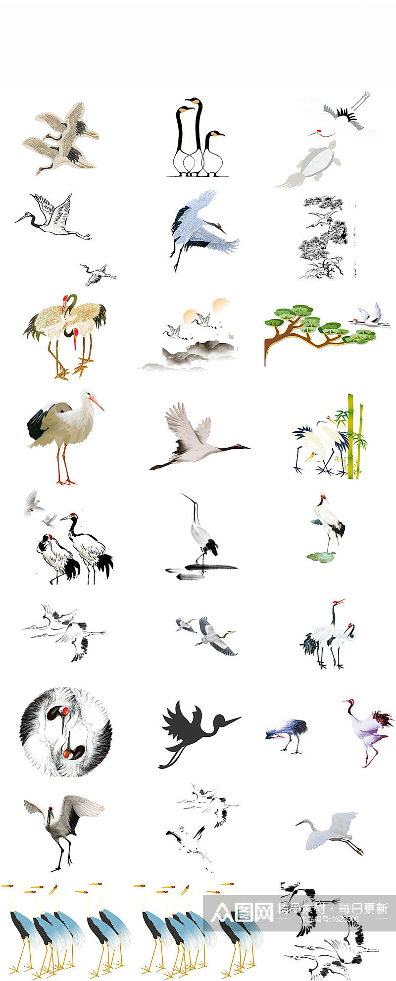 松鹤插画中国风鸟类素材素材