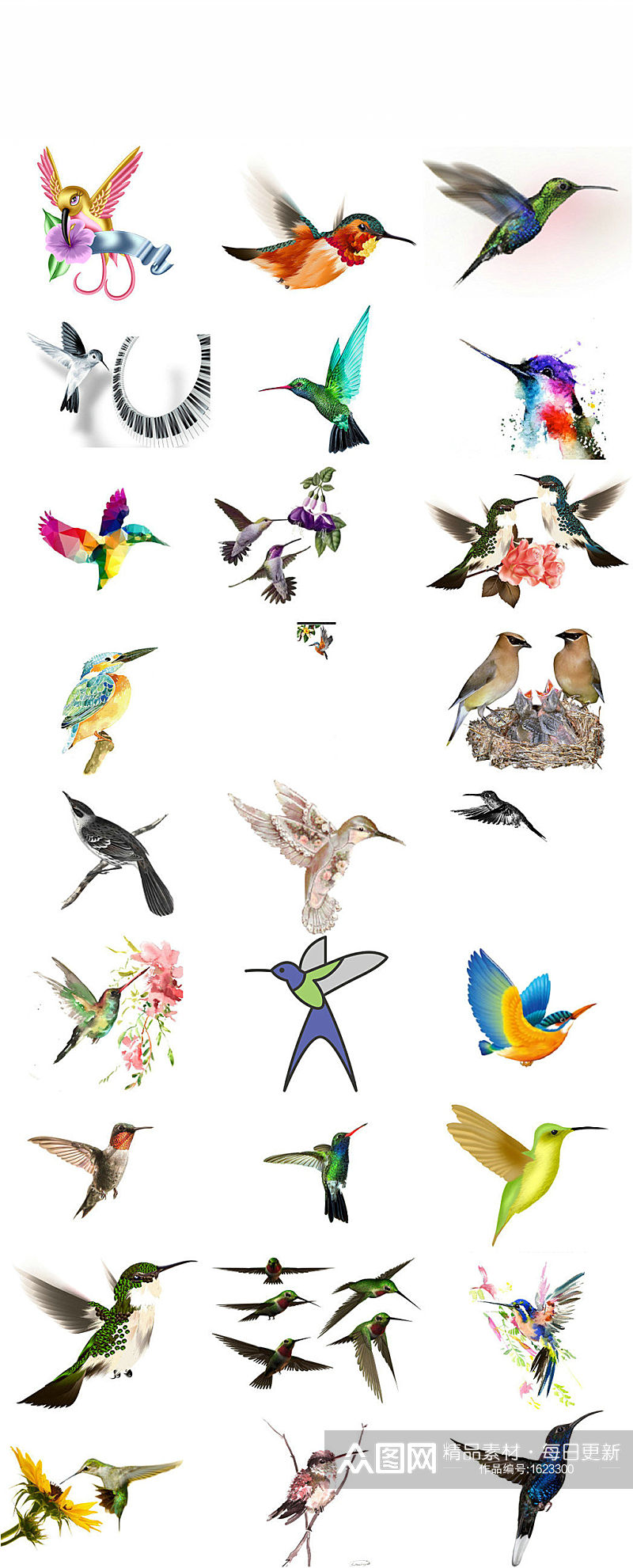 水墨鸟彩色蜂鸟海报设计png图片素材