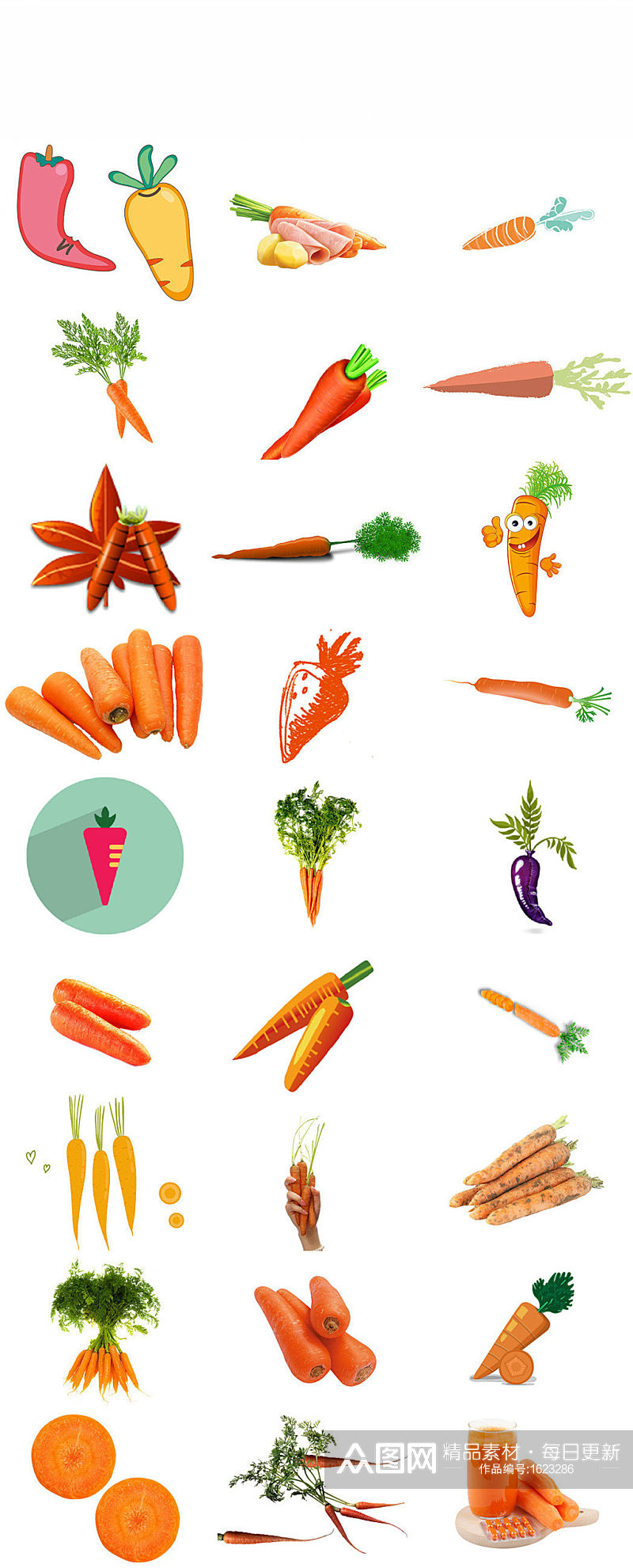 蔬菜胡萝卜免抠png透明底素材素材