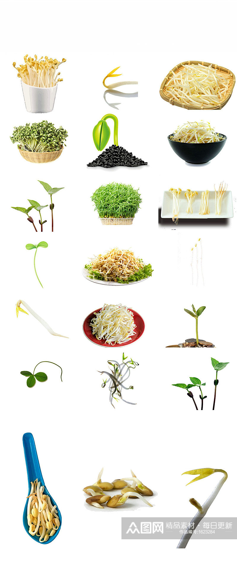 蔬菜豆芽免抠png图片素材