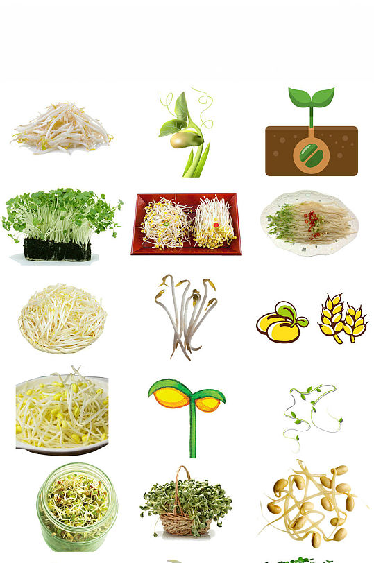蔬菜豆芽海报设计素材