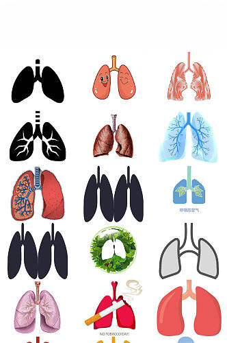 人体器官肺造型设计图
