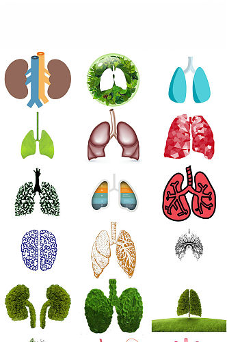 人体器官肺免抠png透明背景素材