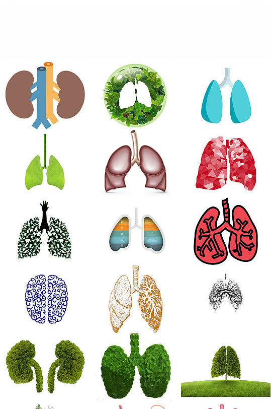 人体器官肺免抠png透明背景素材