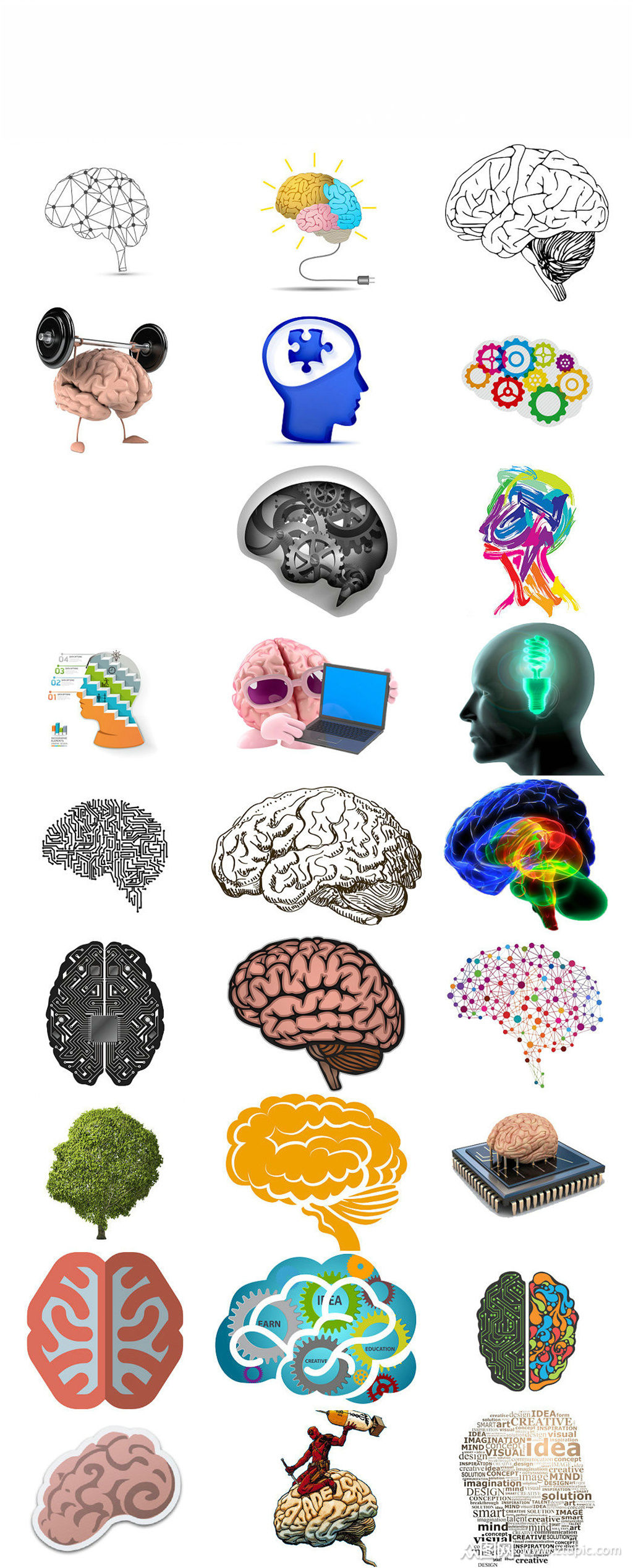 人体器官大脑免抠png透明素材
