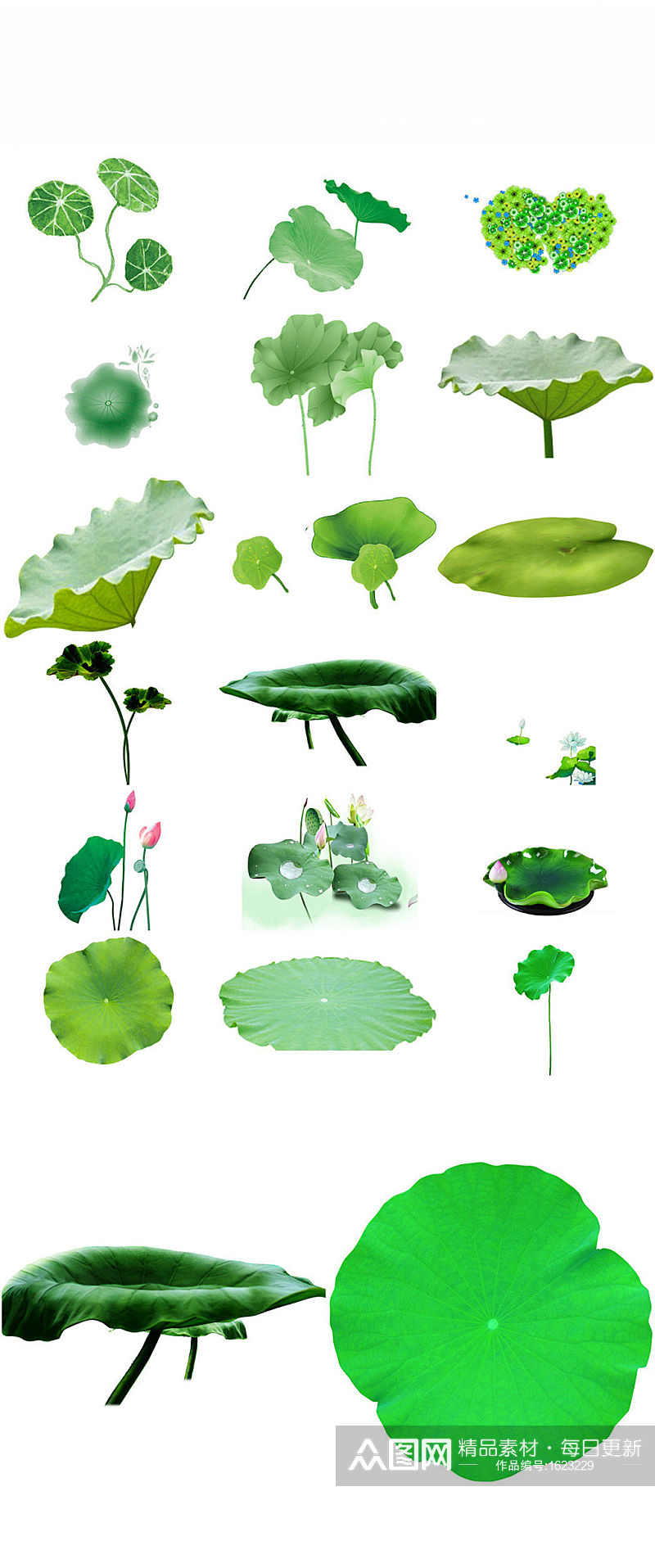 清新绿色荷叶免抠png透明素材素材
