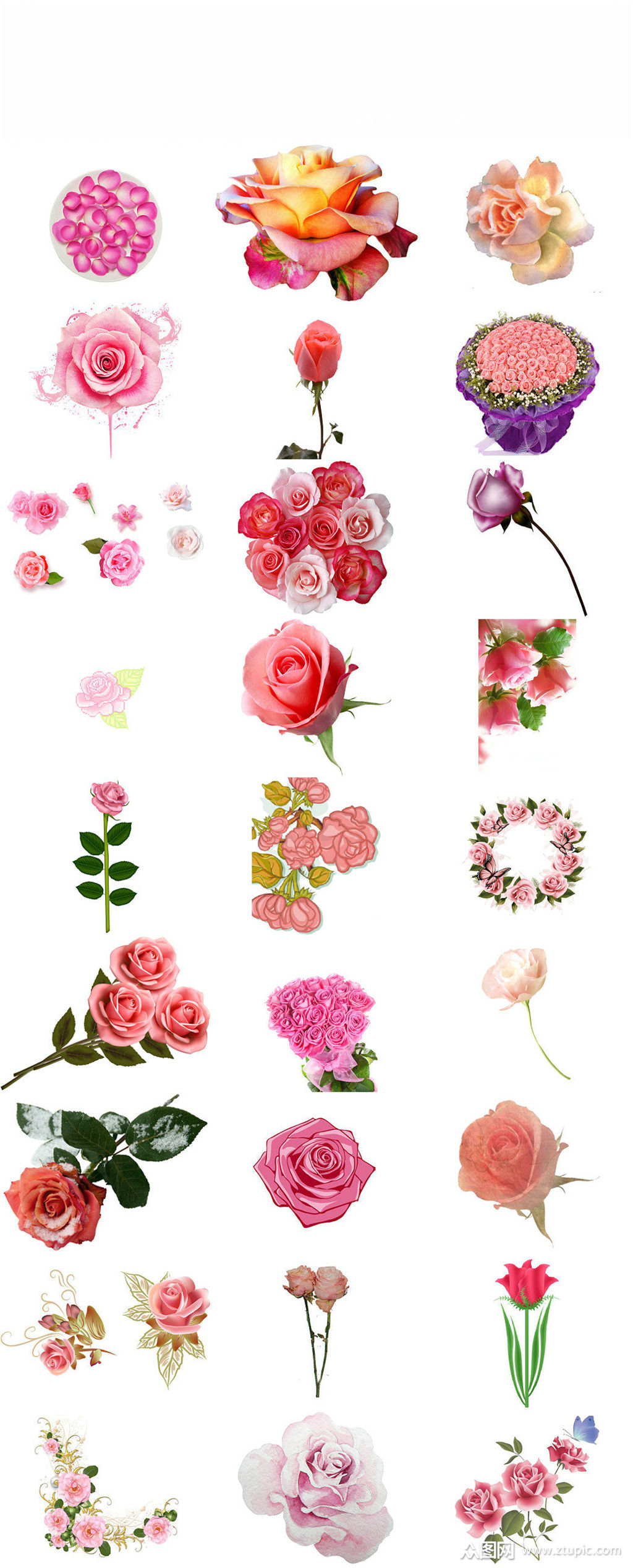 七夕情人节粉色玫瑰ps美工设计元素模板下载-编号1623221-众图网