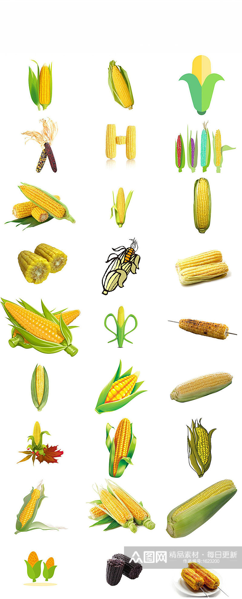 农作物玉米免抠png图片素材素材