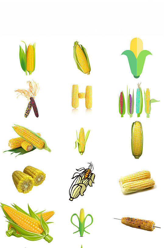 农作物玉米免抠png图片素材