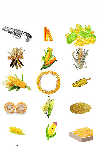农作物玉米ps素材