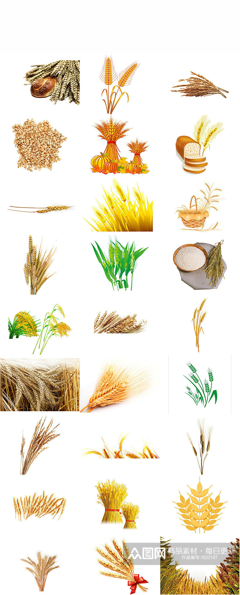 农作物小麦免抠png透明底素材素材