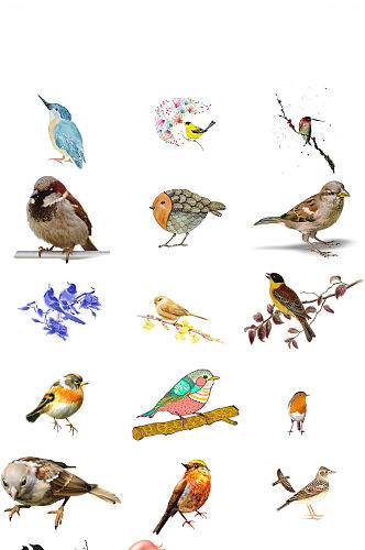 鸟类麻雀动物免抠png图片素材