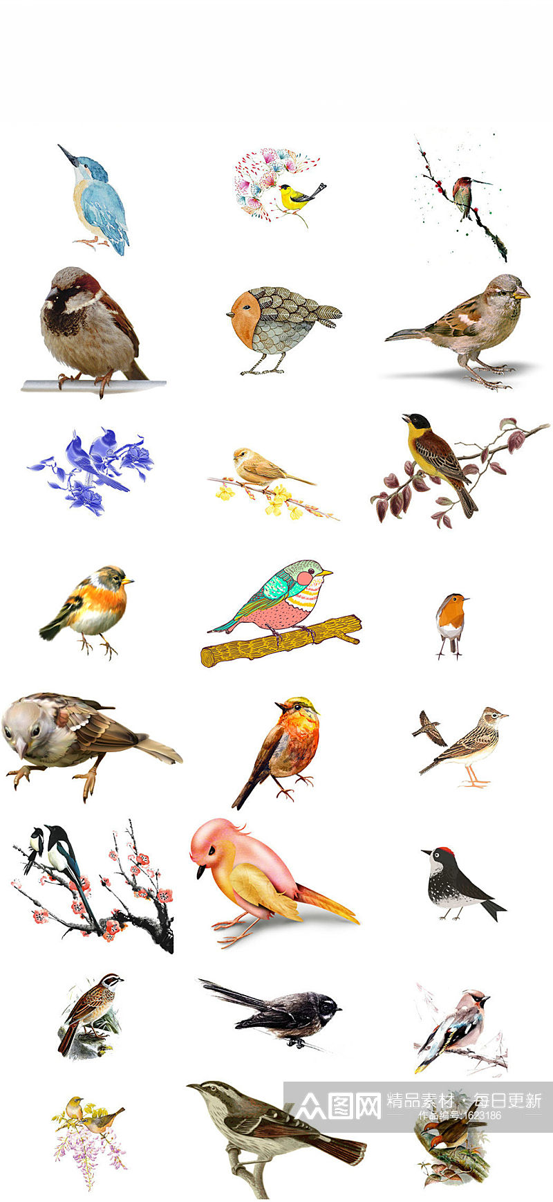 鸟类麻雀动物免抠png图片素材素材