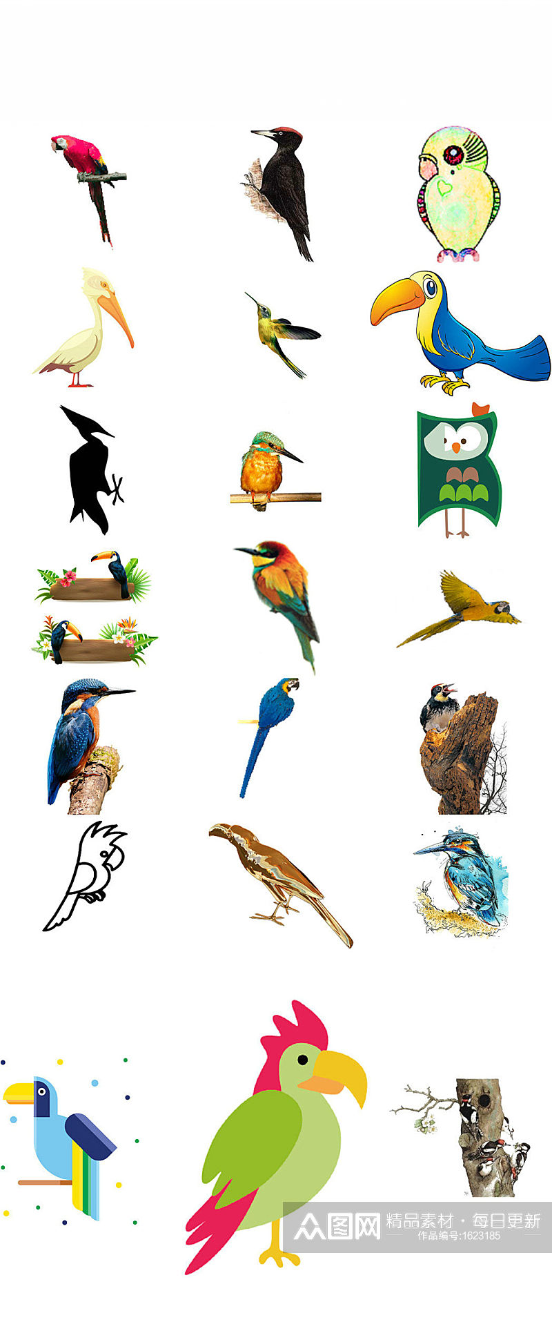 鸟类动物啄木鸟海报素材png系列素材