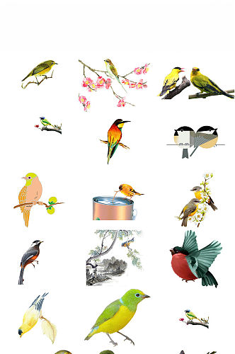 鸟类动物黄鹂免抠png透明素材