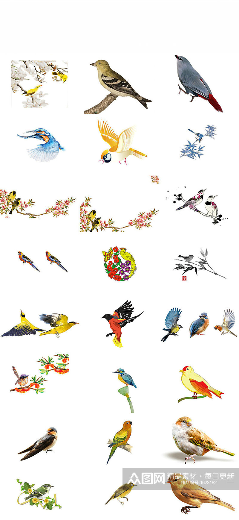 鸟类动物黄鹂海报设计素材素材