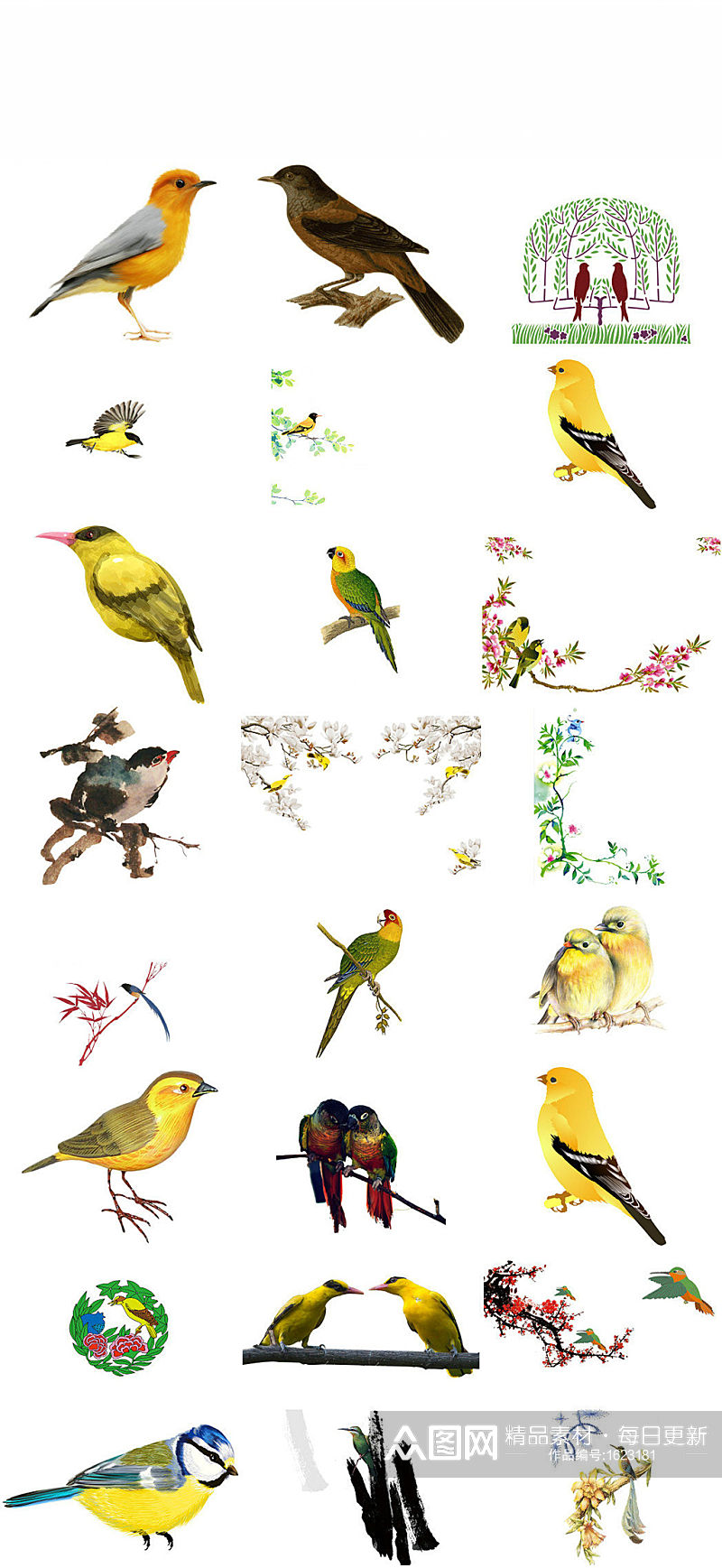 鸟类动物黄鹂ps形象设计素材素材